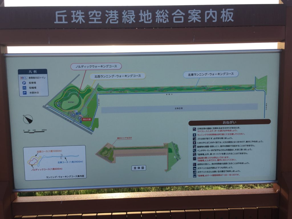 いつもの公園で１キロインターバル走