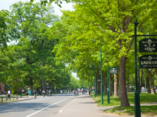 火曜日は１８キロタイムトライアル