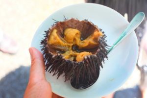 ウニを求めて厚田漁港へ