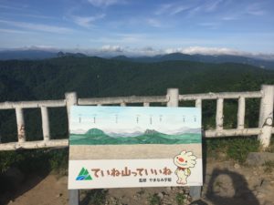 トレラントレーニング